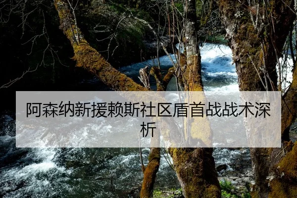 阿森纳新援赖斯社区盾首战战术深析